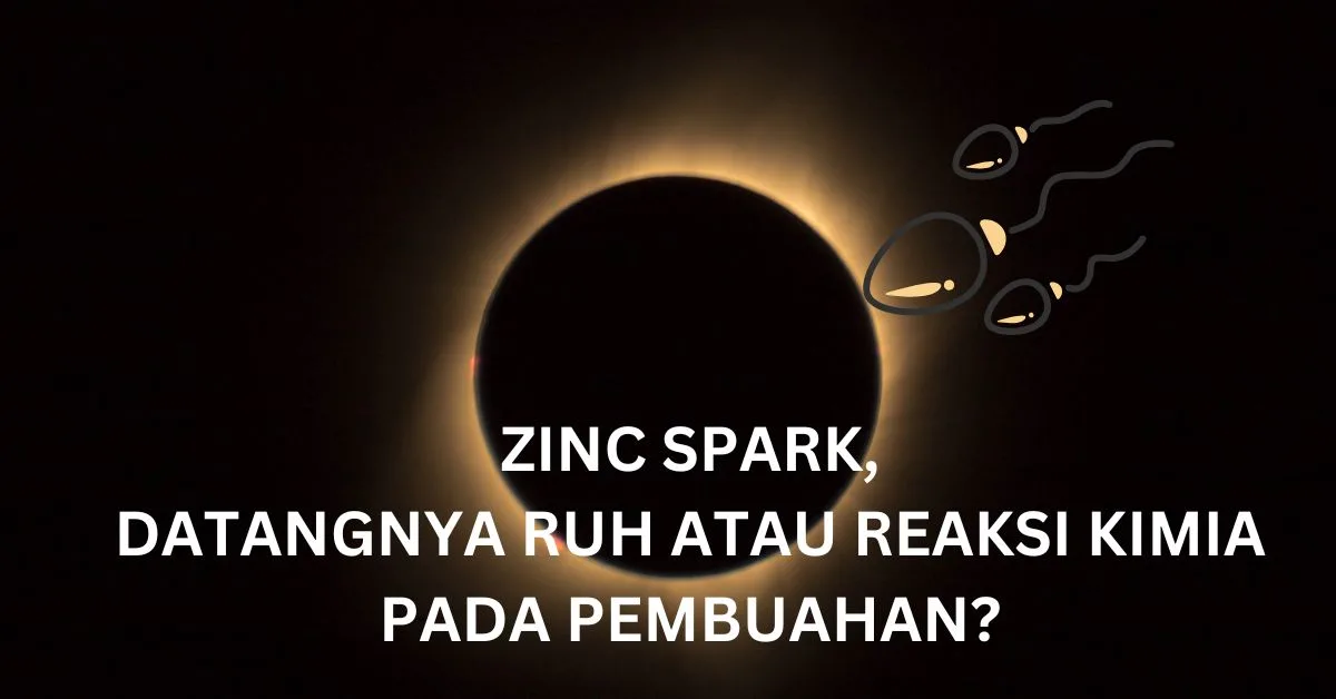 Zinc Spark